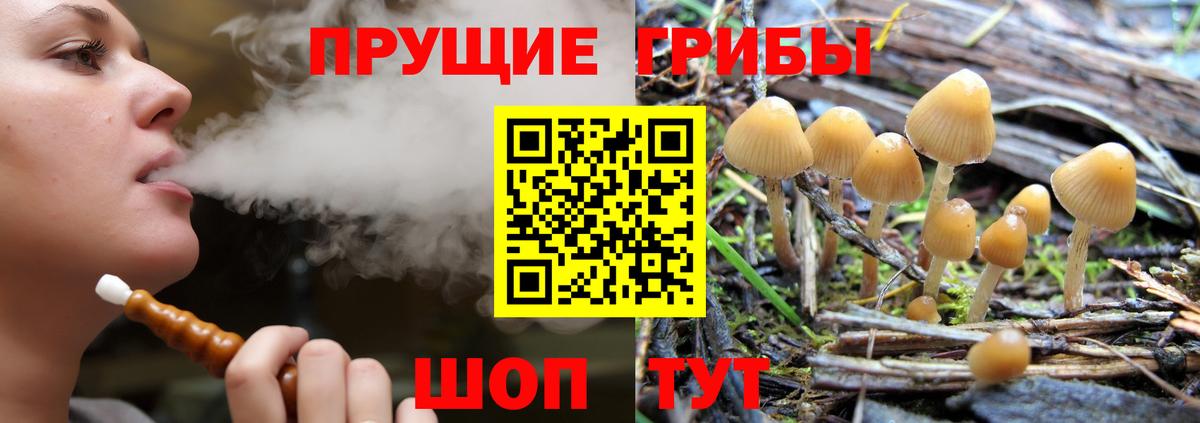 Галлюциногенные грибы мухоморы  Вход с VPN  Серов 